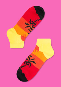 Цветные носки JNRB: Носки Путь Карлито