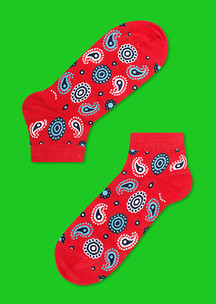 Цветные носки JNRB: Носки Коралловый огурец