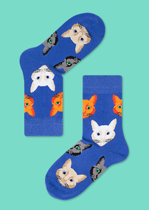Цветные носки JNRB: Носки Коты синие