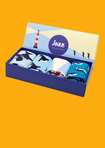 Серые JNRB: Набор Круизный