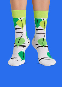 Цветные носки JNRB: Носки Белая береза