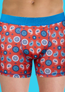 Мужские трусы JNRB: Трусы боксеры Коралловые огурцы