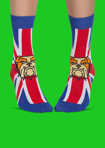 Цветные носки JNRB: Носки Британский бульдог