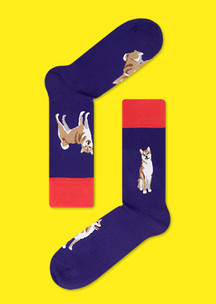 Цветные носки JNRB: Носки Вожак Сиба-Ину