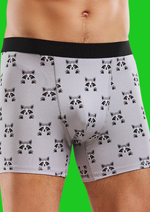 Цветные носки JNRB: Трусы боксеры Крошка Енот