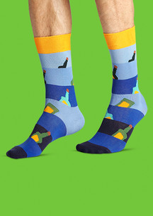 Мужские носки с рисунком  FunnySocks