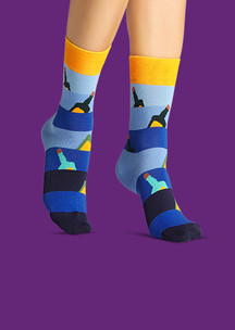Женские носки  FunnySocks