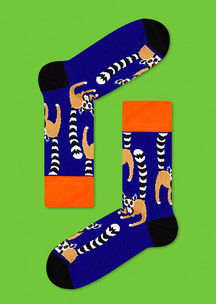 Цветные носки JNRB: Носки Лемур