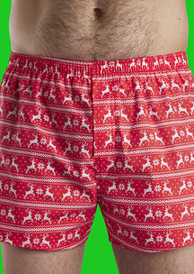 Красные JNRB: Трусы семейные Три белых коня