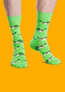Цветные носки JNRB: Носки Крокодил Данди