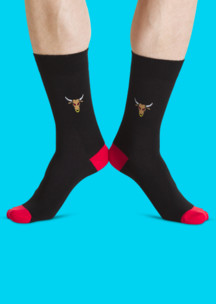 Цветные носки JNRB: Носки Январский зубр