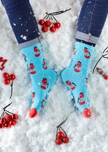 Цветные носки JNRB: Носки Морозный денёк