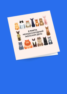 Открытки Funny Socks: Открытка Международный женский день