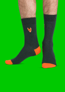 Цветные носки JNRB: Носки Маленький лис
