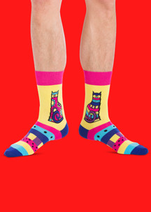 Цветные носки JNRB: Носки Купеческие кошки