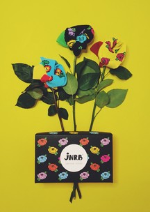 Цветные носки JNRB: Набор Нежный день
