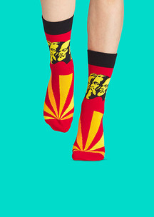 Цветные носки JNRB: Носки МЭЛ