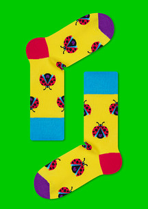 В офис JNRB: Носки Божья коровка
