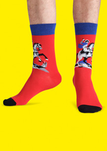 Цветные носки JNRB: Носки Георгий и Змей