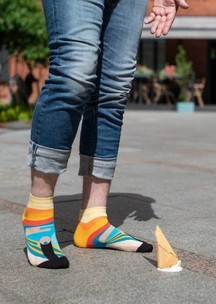 Цветные носки JNRB: Носки Крик
