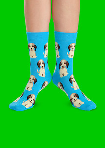 Цветные носки JNRB: Носки Охотничий пёс