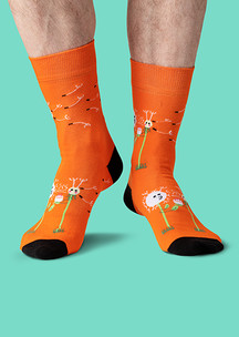 Цветные носки JNRB: Носки Жизнь одуванчика