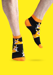 Цветные носки JNRB: Носки Милый корги