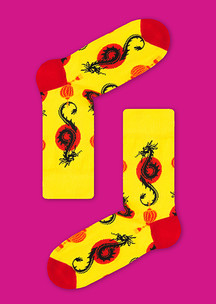 Цветные носки JNRB: Носки Восточный дракон
