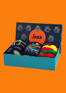 Разноцветные JNRB: Набор И пришел дракон