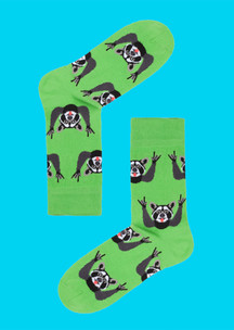 JNRB: Носки Крутые еноты