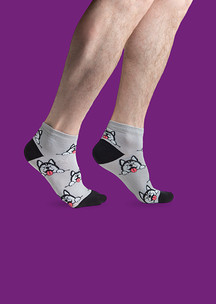 Цветные носки JNRB: Носки Милый хаски