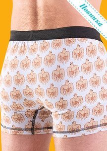 Цветные носки JNRB: Трусы боксеры Спортопёс