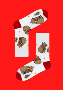 Цветные носки JNRB: Набор Новогодняя капибара