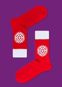 Цветные носки JNRB: Набор Новогодняя капибара