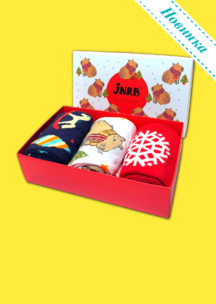 Мужские носки JNRB: Набор Новогодняя капибара