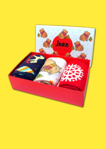 Женские носки JNRB: Набор Новогодняя капибара