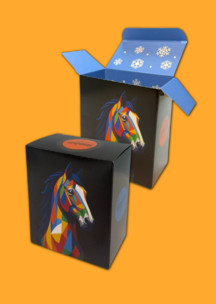 Подарочная упаковка JNRB: Коробка для 2х пар Графический конь 2026