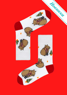 Цветные носки JNRB: Чемодан Новогодний с 21 парой Новый год 2026