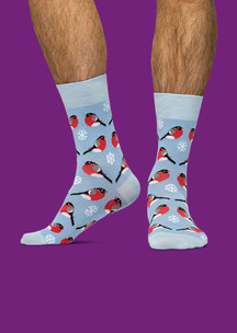 Цветные носки JNRB: Носки Снегири – не гири